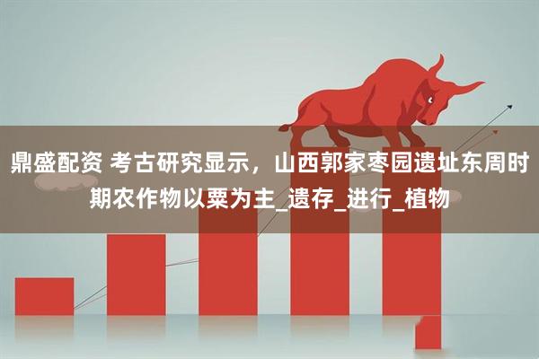 鼎盛配资 考古研究显示，山西郭家枣园遗址东周时期农作物以粟为主_遗存_进行_植物